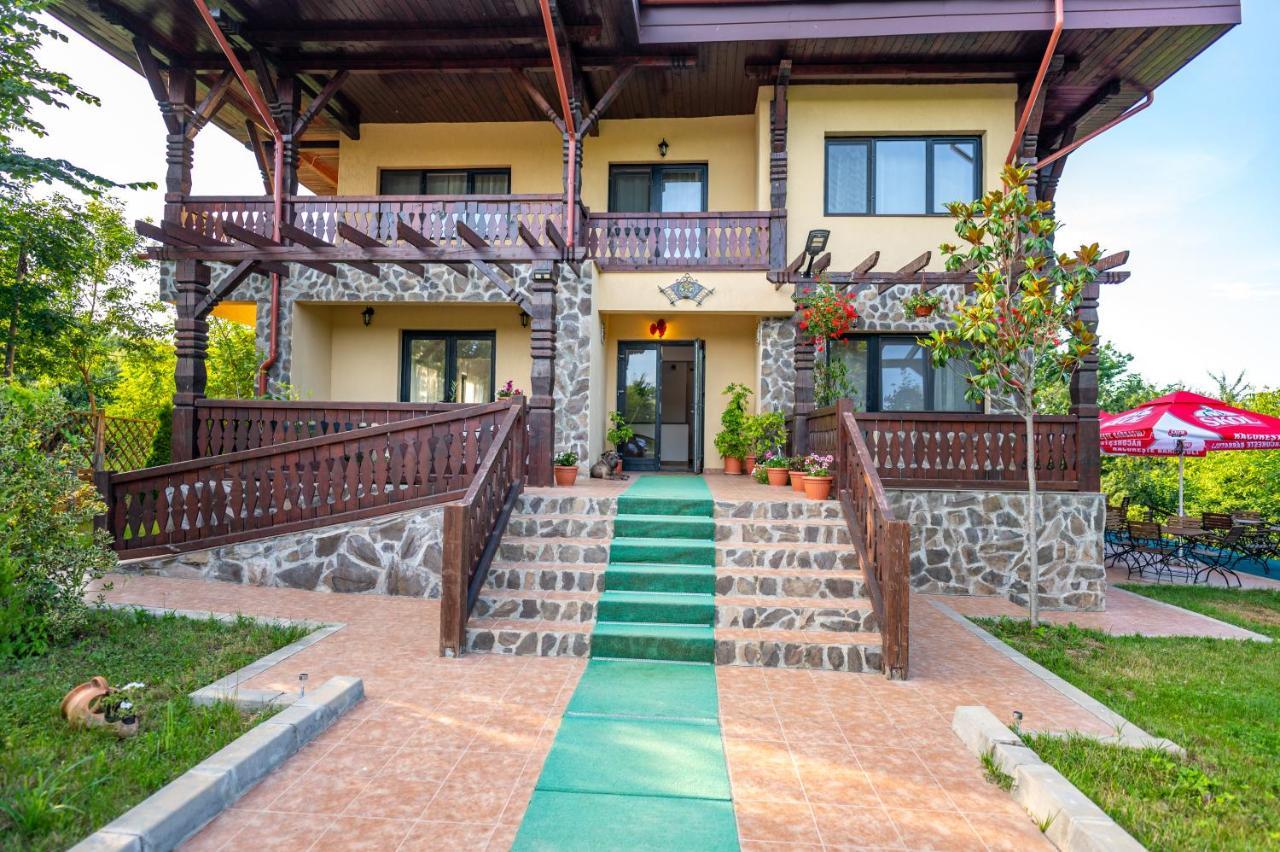 Pensiunea Visaventura Visan Exterior foto