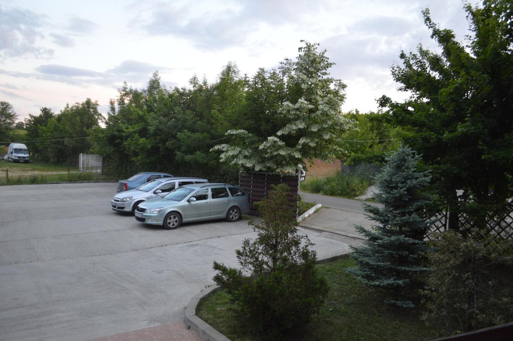 Pensiunea Visaventura Visan Exterior foto